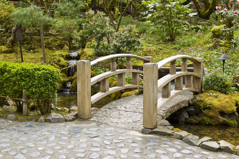 Chinese Medicine – Spring
